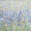 Wild Iris Meadow