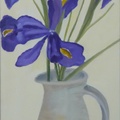 Irises