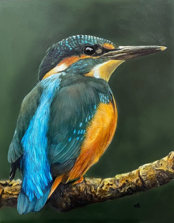 Kingfisher