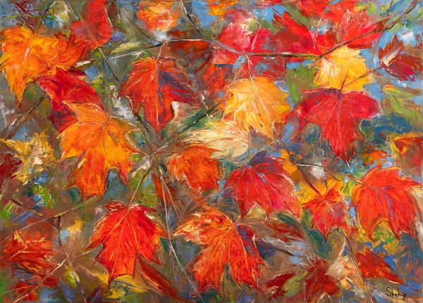 Autumn Maple Leaves