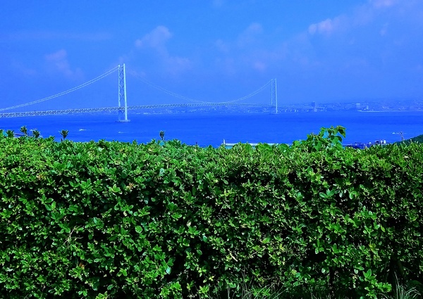 Japan - Akashi-Kaikyo Bridge #2