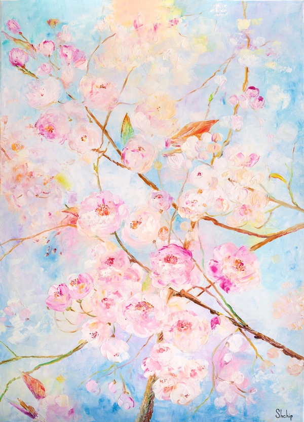 Cherry Blossoms under a Blue Sky