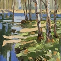 Birch Forest by the River