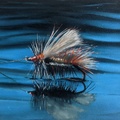 Fishing Fly