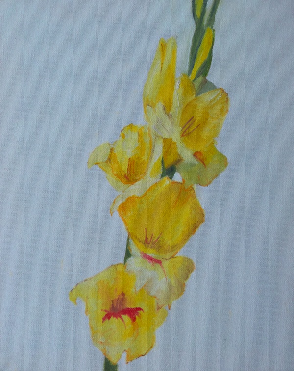 Gladioli