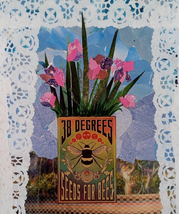 Seeds for Bees