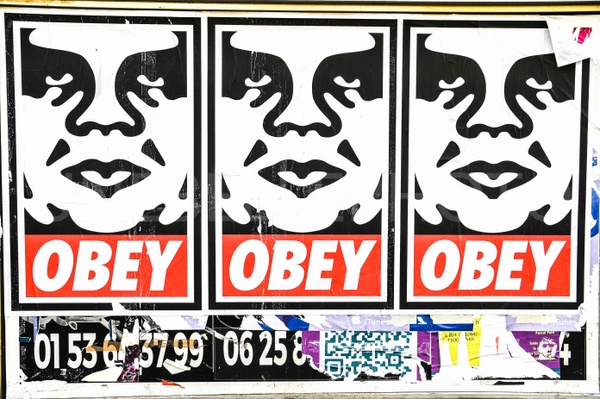 OBEY Triptych, Shepard Fairey Street Art, Andre the Giant Icons, Urban Propaganda posters, OBEY Graphic Art, Street Art Series, Triplicate Andre, Monochromatic Street Print, Iconic OBEY Wall Decor, OBEY Triple Threat.