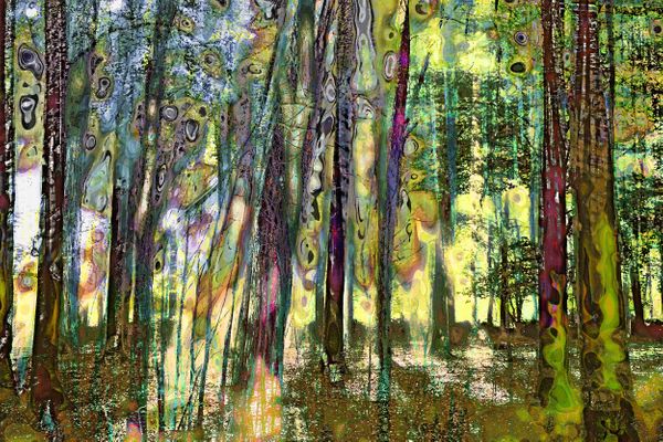 Mystifying Forest VI