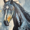 Portrait of a Horse