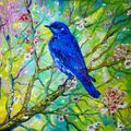 Bluebird on a Blossoming Branch