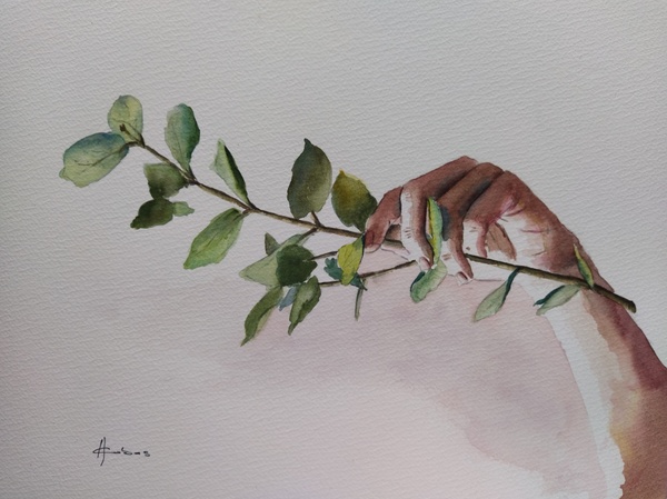 Eucalyptus at Hand