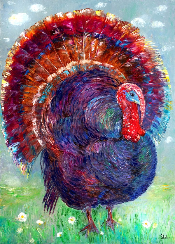 Turkey On a Meadow