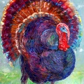 Turkey On a Meadow