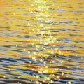 Gold Sparks on the Water