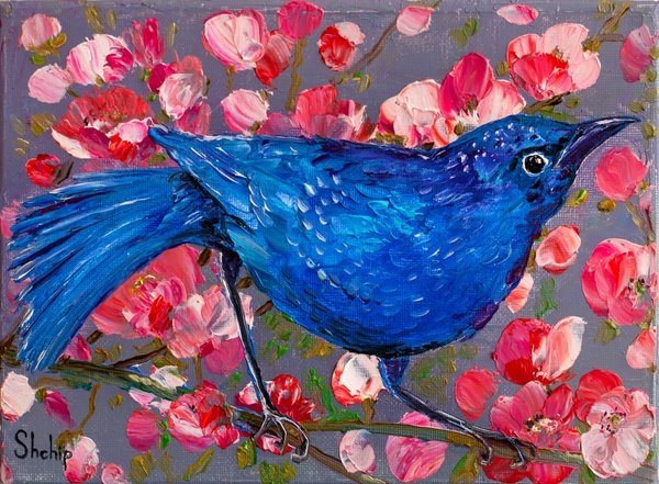 Blue Bird In Colorful Pines