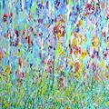 Wild Tulip Meadow