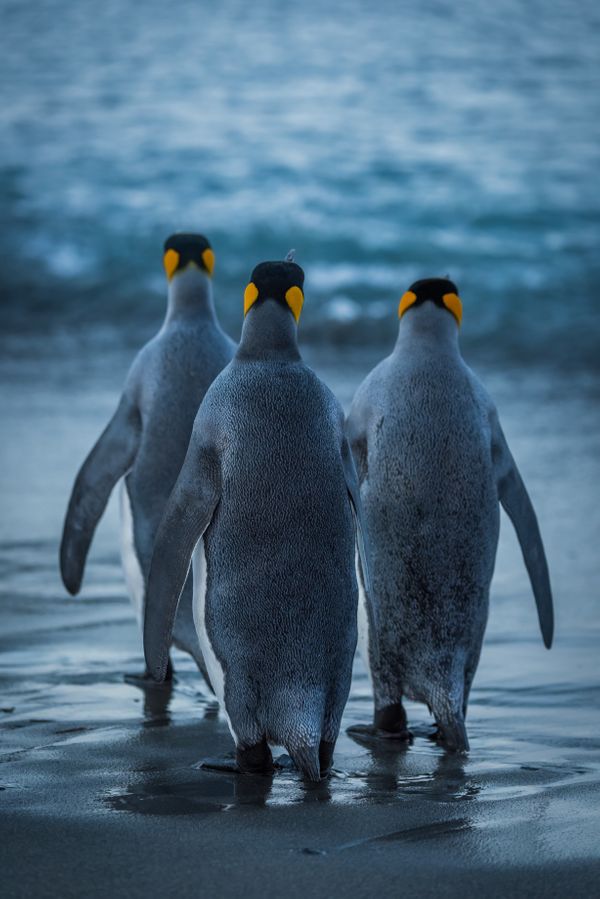 Nick Dale Photography