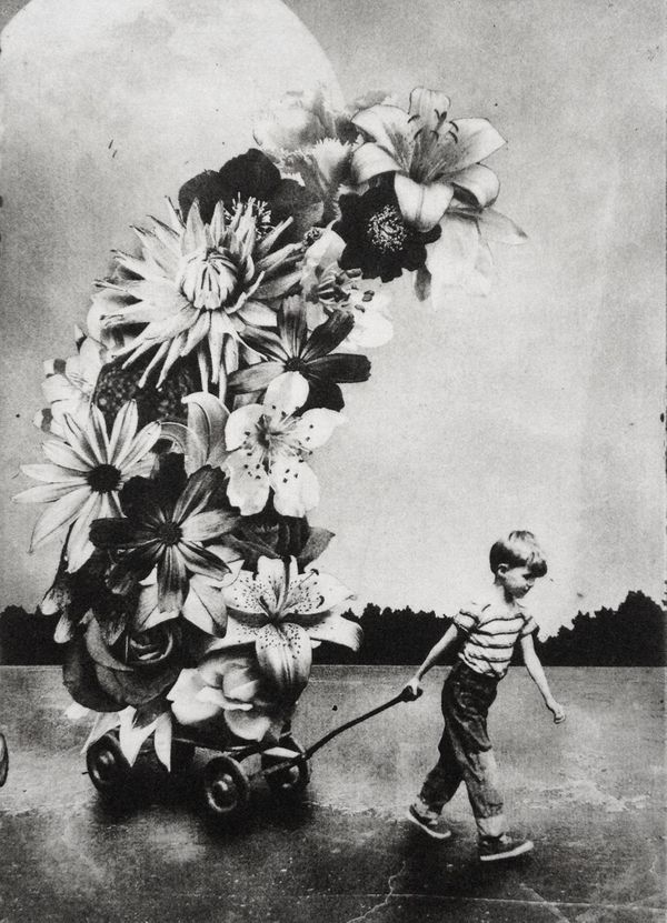 The Boy and The Flowers