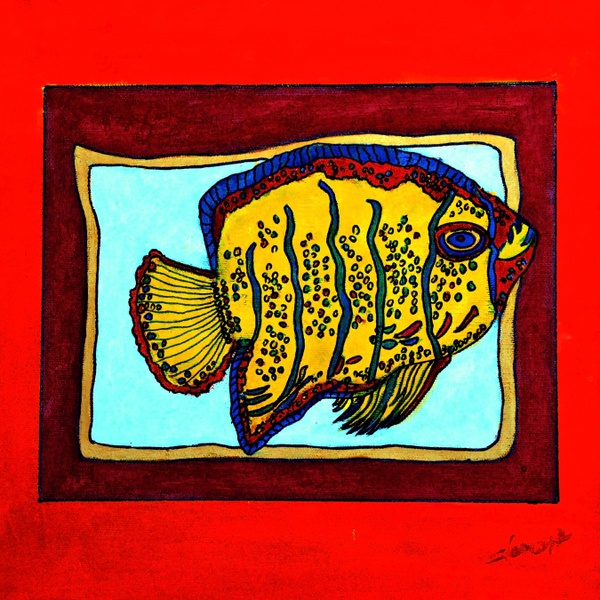 AN25-Fish