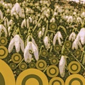 Snowdrops - Homage to Klimt