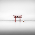 Share This Artwork Snoopy Miyajima