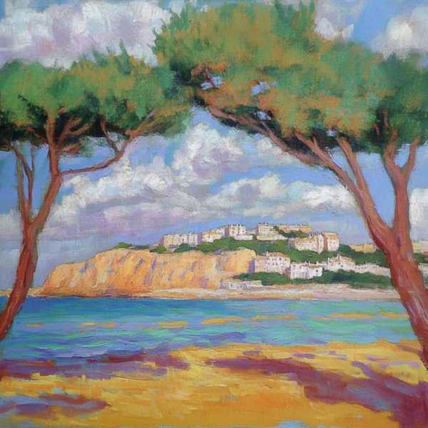 Cypress Trees On The Beach