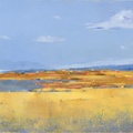 Blooming Fields