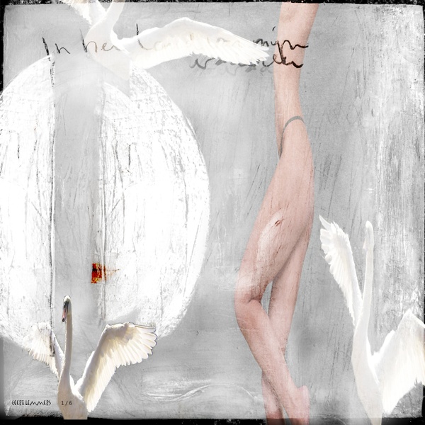 In the land of my fathers I