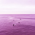 Venice Beach Purple Sea ll