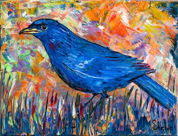 Blue Bird in the Meadow