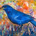 Blue Bird in the Meadow