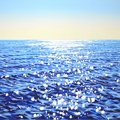 Blue Ocean. Glare.