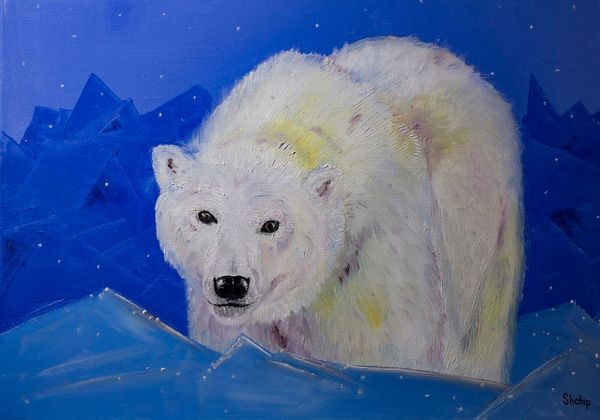 Polar Bear. Arctic Night