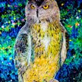 Owl - A Symbol of Wisdom