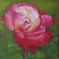 A Red Rose for my Love