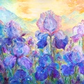 Irises at Sunrise