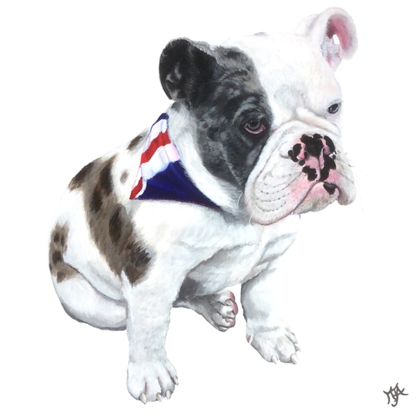 Monty Great British Bulldog Union Jack