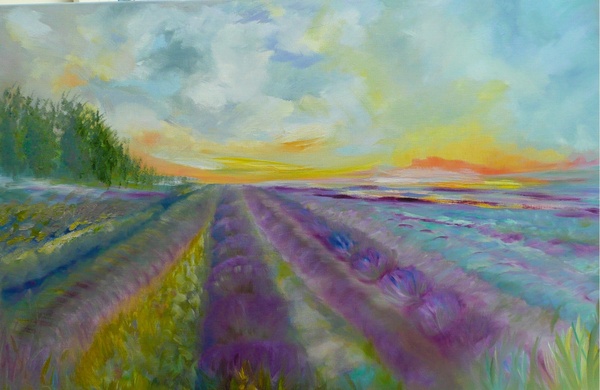 Lavender Fields