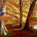 Autumn Leaves in Faskally Woods