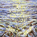 Glare on the water 36