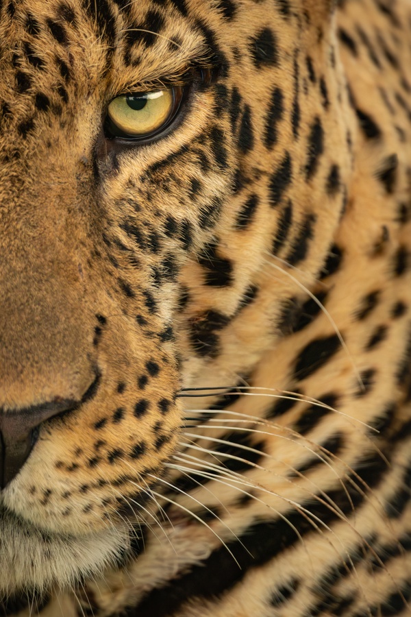 Is This Close Enough...?