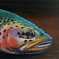 Trout