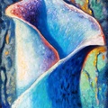 Blue Lily Bright Light Ice Floral Waterscape