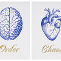 Order Chaos Blue Small Print