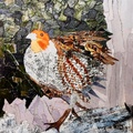 Ptarmigan