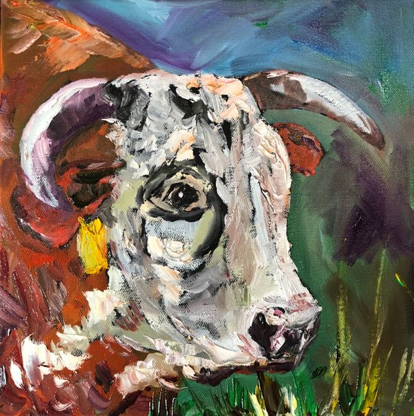 Barry The Hereford Bull