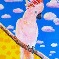 Pink Parrot