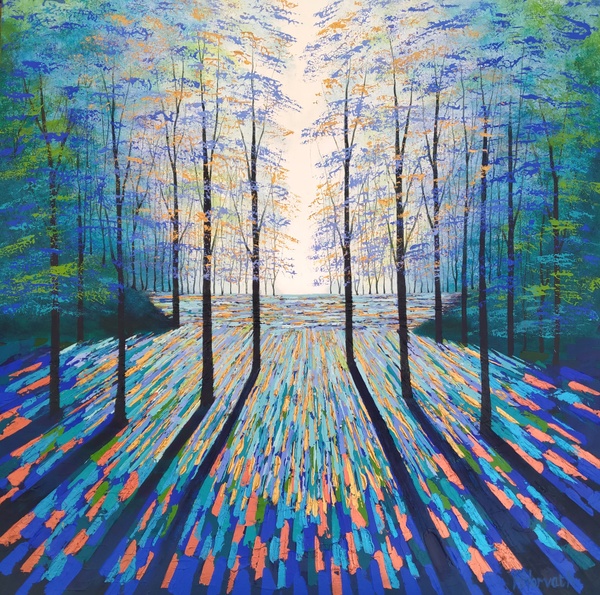Beyond the Shimmering Forest