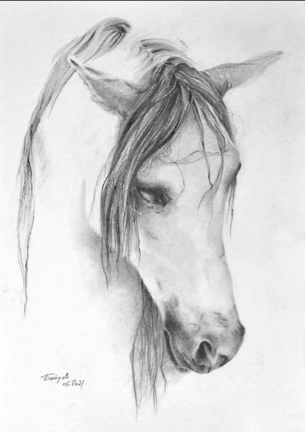Art_Boytsov