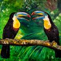 Toucans